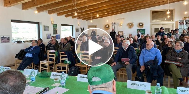 Emergenza cinghiali: l'evento della Cia, le analisi degli esperti e le soluzioni dell'assessore Pentassuglia