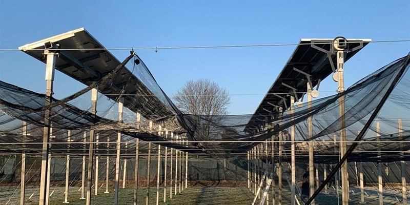 Agrivoltaico Agrivoltaico