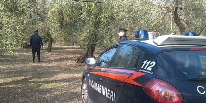 Carabinieri in campagna