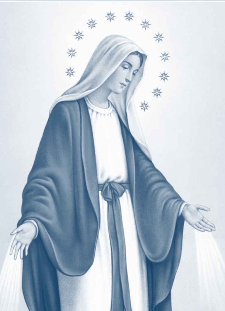 Maria Cristina Molfetta