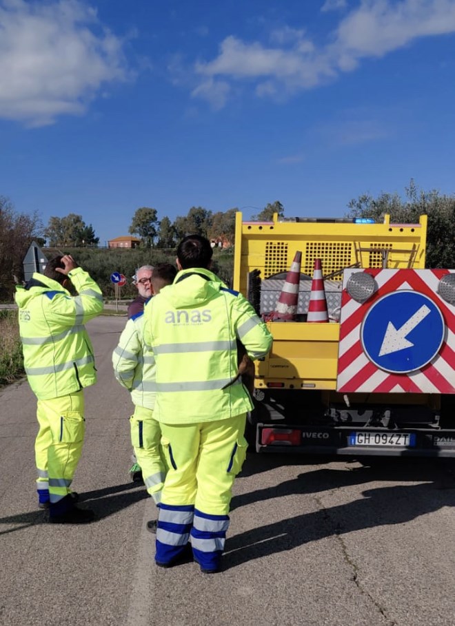 Cuccioli tratti in salvo