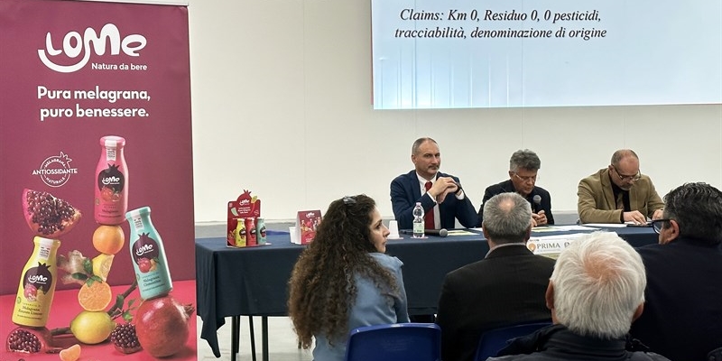 Il convegno Il convegno