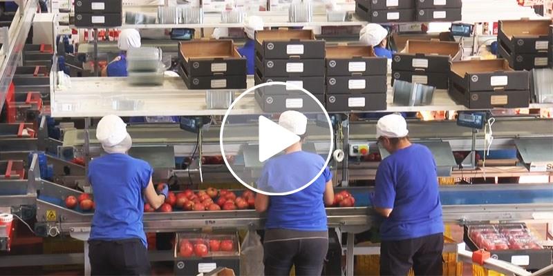 L'ultima trovata di Masseria Fruttirossi: benessere e salute? Un diritto di tutti