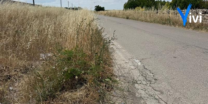Sicurezza stradale e rischio incendi, dal Comune di Laterza formale richiesta alla Provincia per la pulizia delle cunette