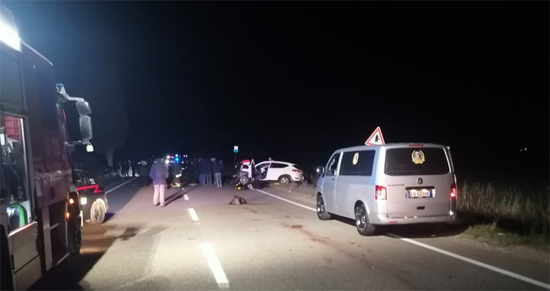 Cinghiale in strada, scontro mortale tra due mezzi: una donna ha perso la vita