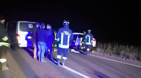 Cinghiale in strada, scontro mortale tra due mezzi: una donna ha perso la vita