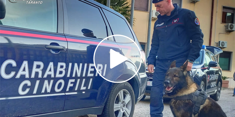 Cocaina, “patto criminale” tra Massafra e Crispiano: fioccano gli arresti