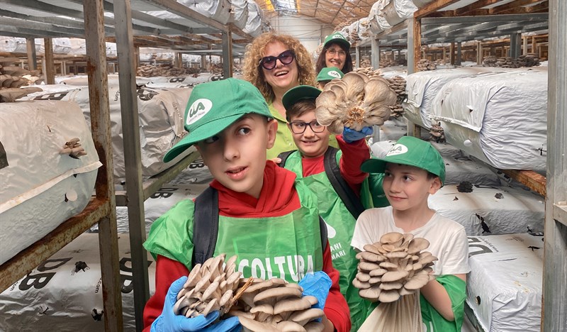 Alla scoperta del mondo dei funghi: torna "Scuola in Fattoria"