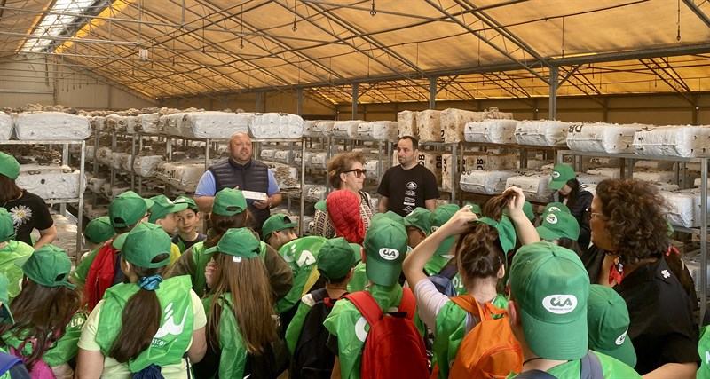 Alla scoperta del mondo dei funghi: torna "Scuola in Fattoria"