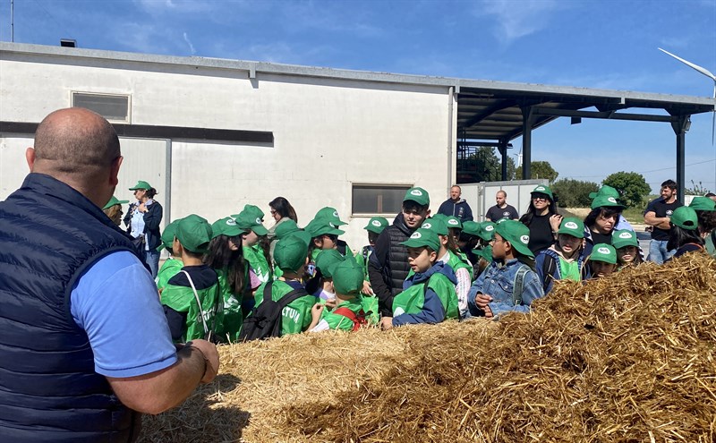 Alla scoperta del mondo dei funghi: torna "Scuola in Fattoria"