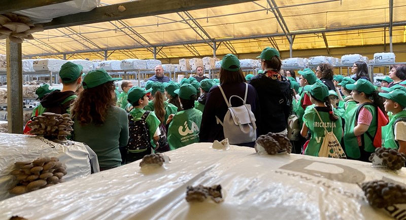 Alla scoperta del mondo dei funghi: torna "Scuola in Fattoria"