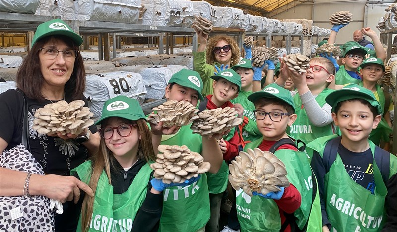Alla scoperta del mondo dei funghi: torna "Scuola in Fattoria"