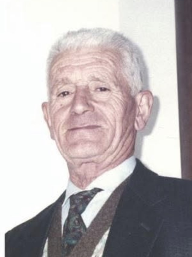 Domenico Ranaldo