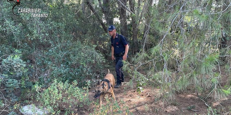 Presunto avvelenamento cani, unità cinofile a Riva dei Tessali