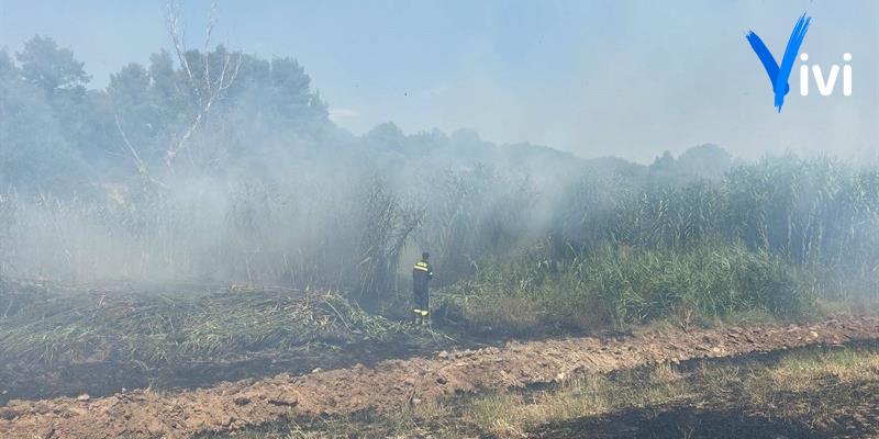 Prevenzione incendi boschivi: sanzioni in vista per chi non rispetta l'ordinanza