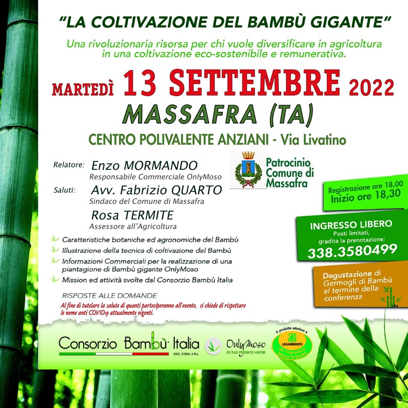 Il manifesto
