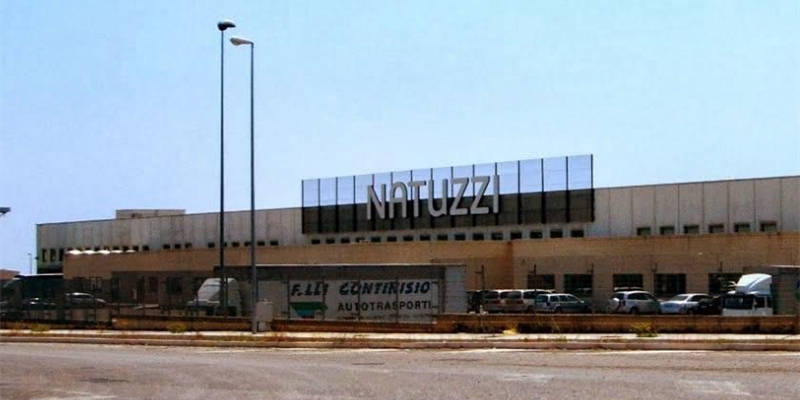 Natuzzi Natuzzi