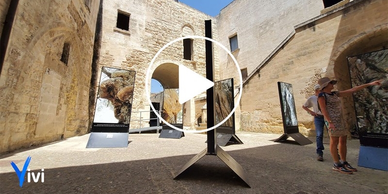 Inaugurata la mostra "Pareidolìa, guardare oltre ciò che appare"