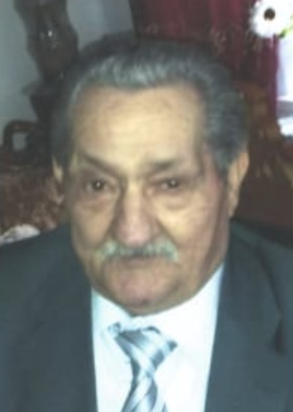 Domenico Bonora