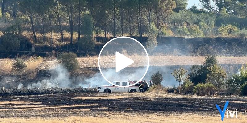 Il mattino dopo l'inferno: fiamme a ridosso delle case, 7 ore di battaglia contro il fuoco