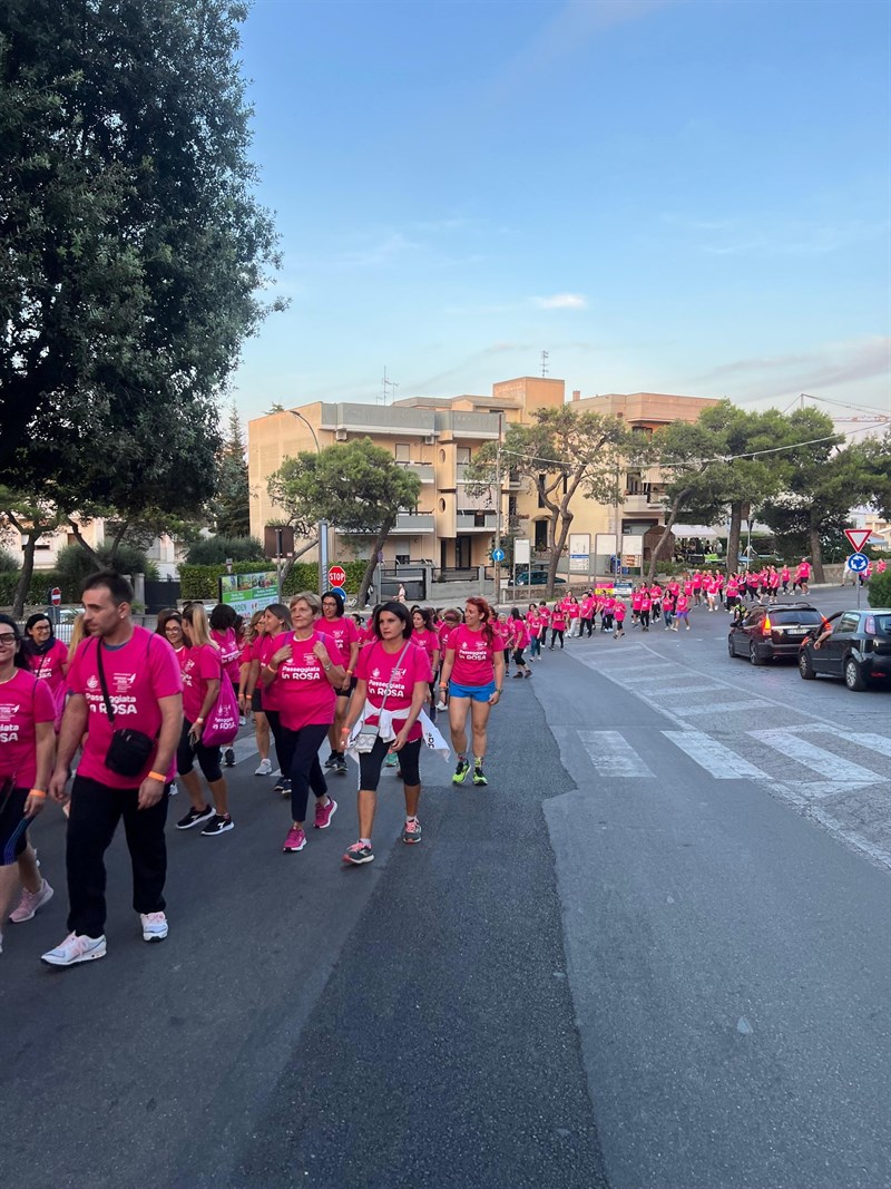 Passeggiata in Rosa