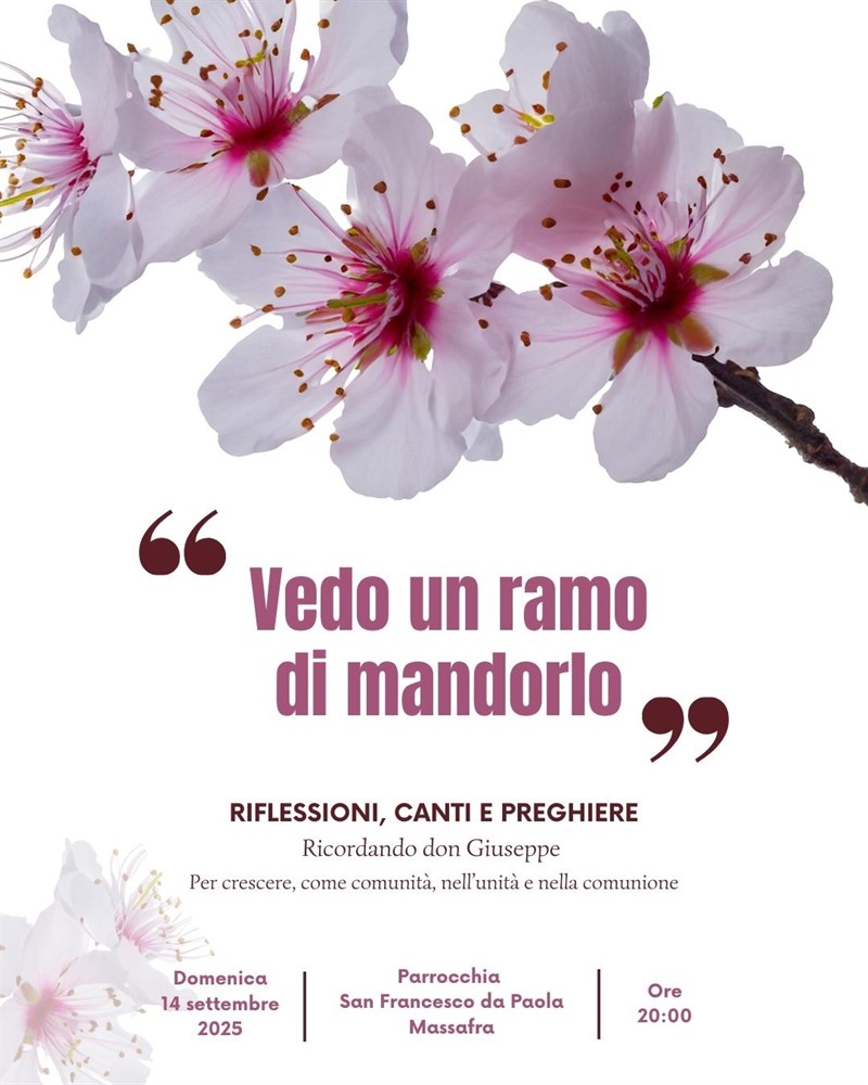 Le iniziative