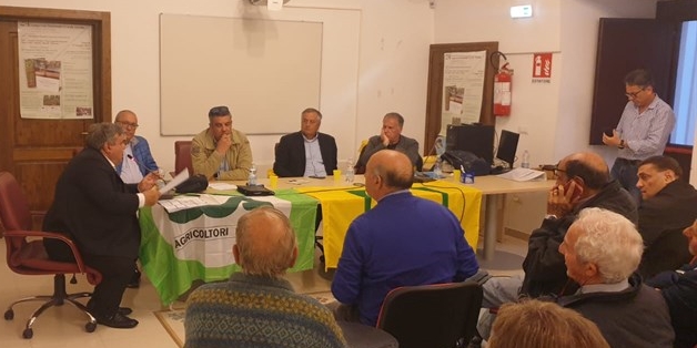 Assemblea congiunta: CIA, Coldiretti e Copagri a confronto con gli agrumicoltori