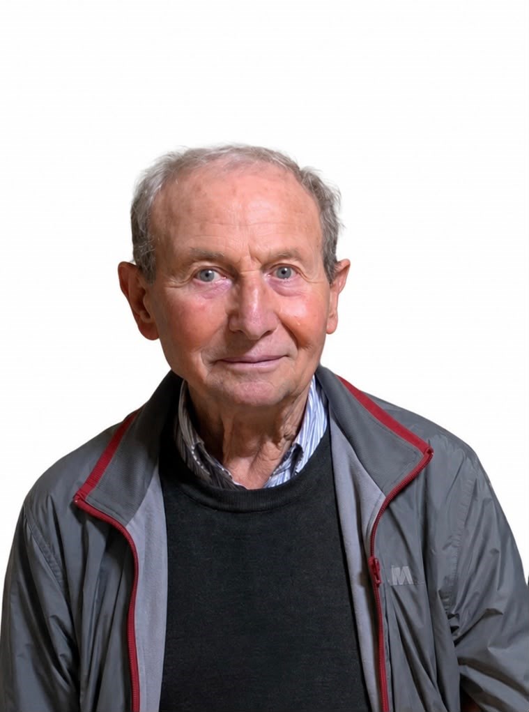 Domenico  Lanera
