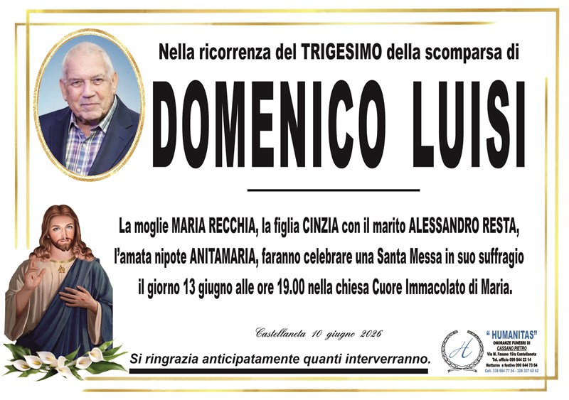 Domenico Luisi