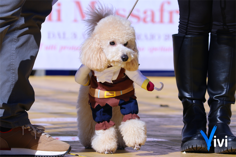 Carnevale da Cani