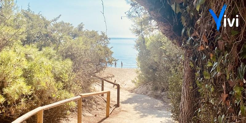Salute, inclusione e natura: ecco le tre ordinanze che disegnano l'estate di Castellaneta Marina