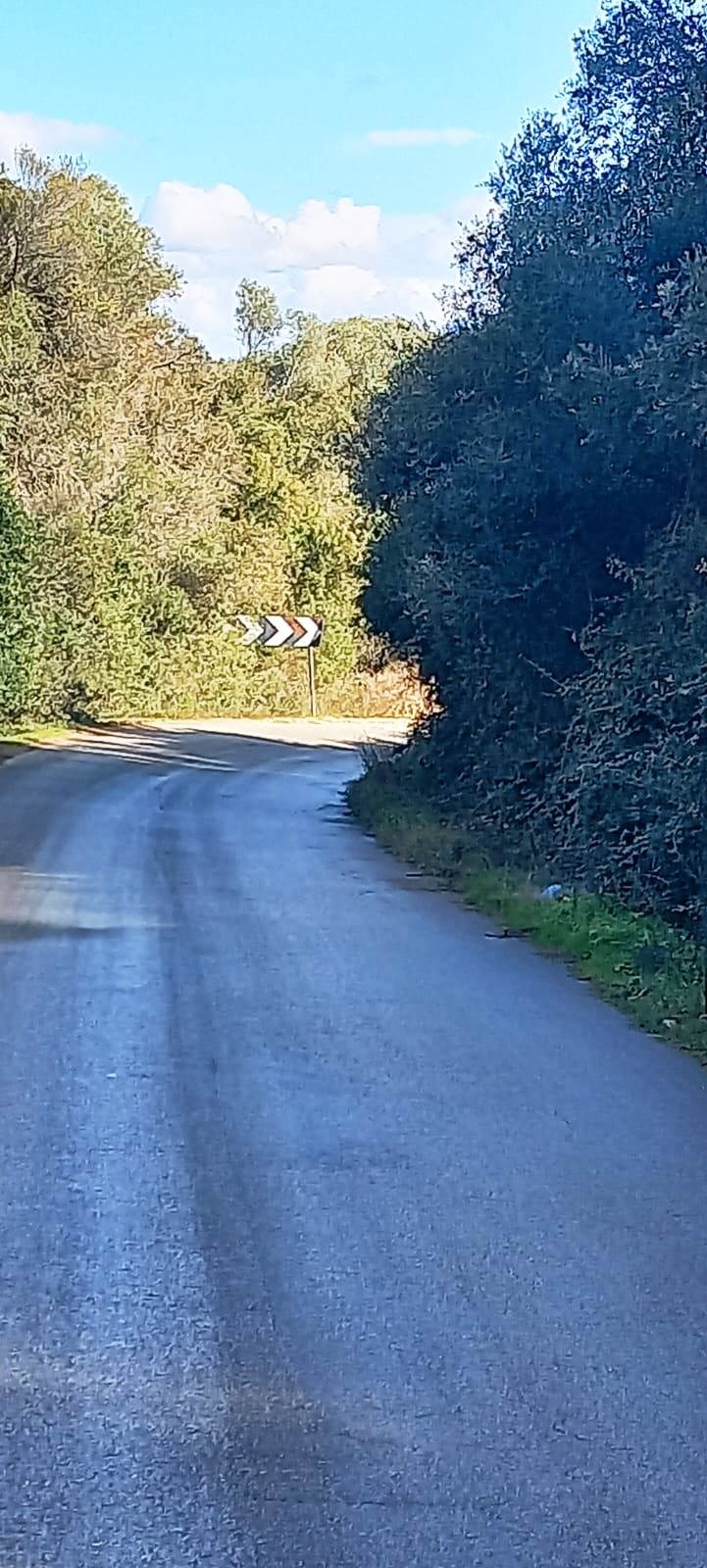 Sp11