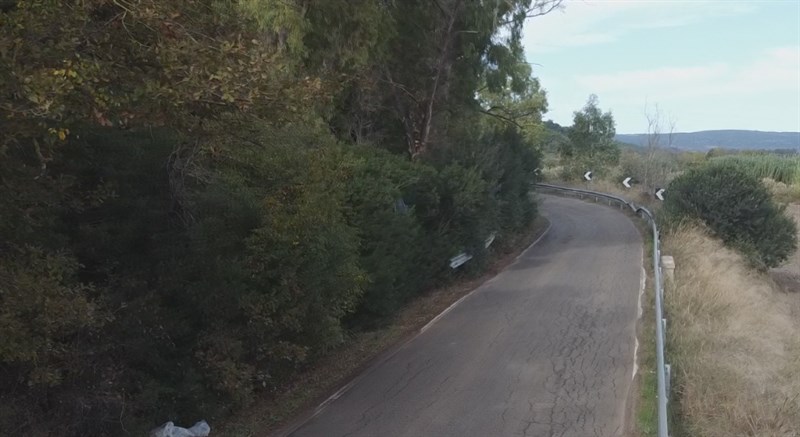Sp12