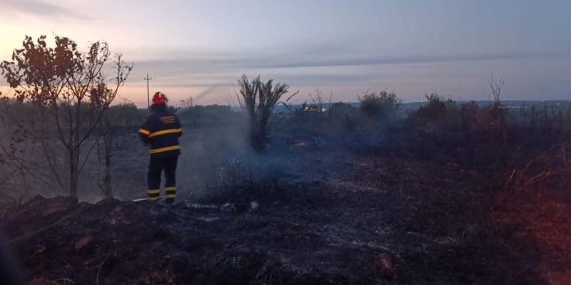 Massafra, fiamme sul Tara: domato incendio a Lido Azzurro