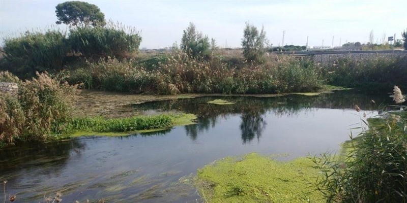 Dissalatore fiume Tara