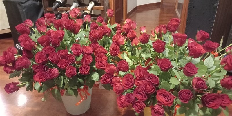 Le rose Le rose