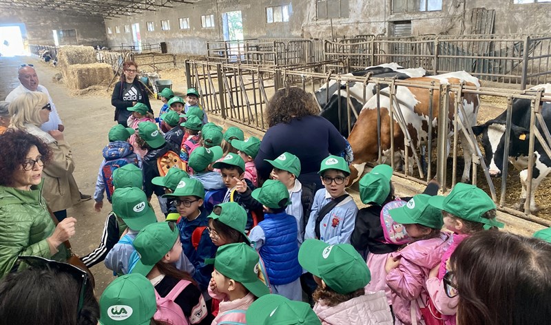 Latte e derivati, dal pascolo al piatto: prosegue “Scuola in Fattoria”