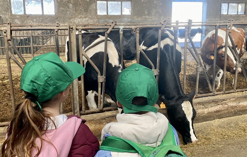 Latte e derivati, dal pascolo al piatto: prosegue “Scuola in Fattoria”