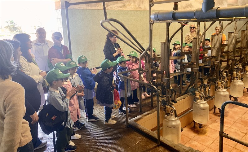 Latte e derivati, dal pascolo al piatto: prosegue “Scuola in Fattoria”