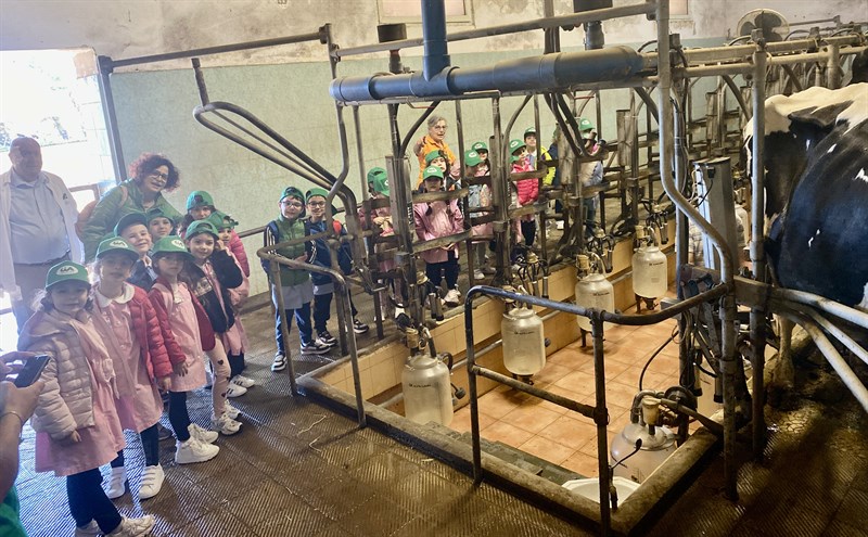 Latte e derivati, dal pascolo al piatto: prosegue “Scuola in Fattoria”