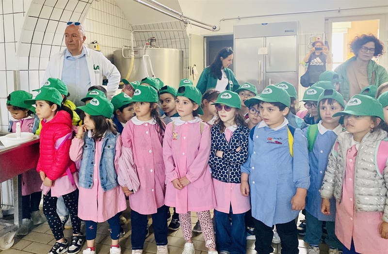 Latte e derivati, dal pascolo al piatto: prosegue “Scuola in Fattoria”