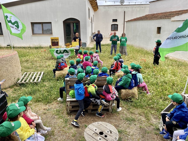 Scuola in Fattoria