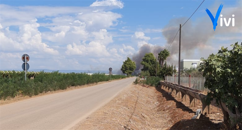 Fiamme nelle campagne di Castellaneta