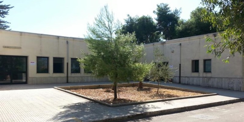scuola Rodari (plesso Ruffo) scuola Rodari (plesso Ruffo)