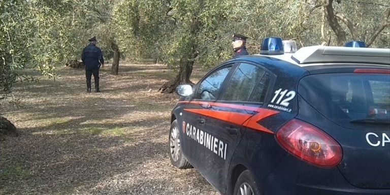 Caporalato anche nel Ginosino: sei arresti e sequestri per oltre un milione di euro
