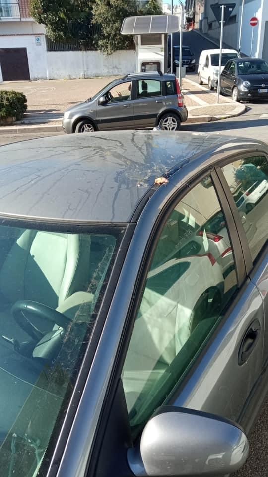 Auto del papà del sindaco Parisi