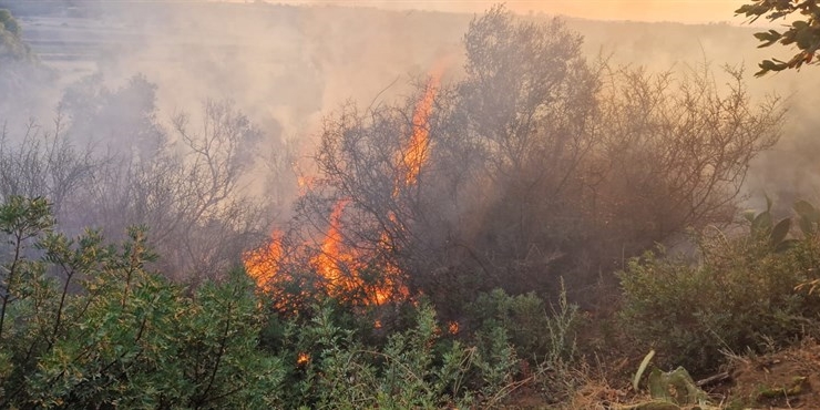 Un pomeriggio di fuoco: salvi 30 ettari di bosco