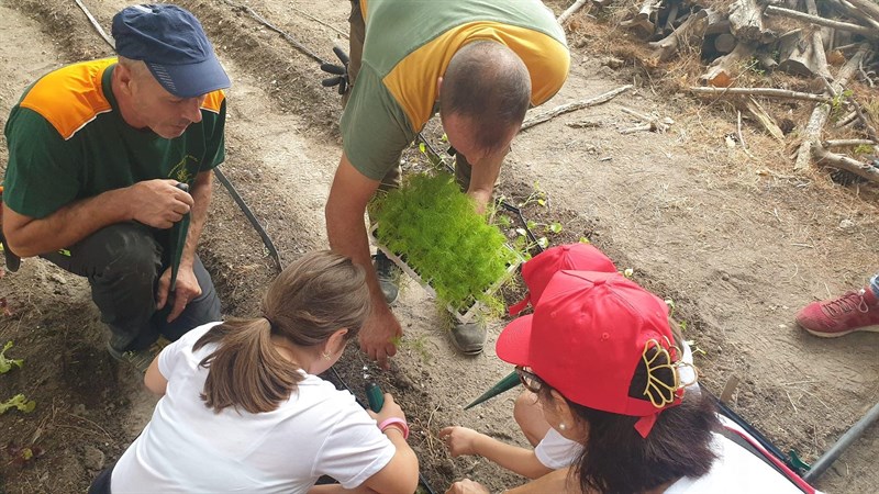 L’iniziativa nel terrazzamento della gravina San Marco