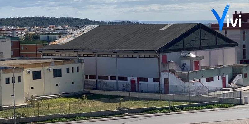 Il Palatifo Il Palatifo