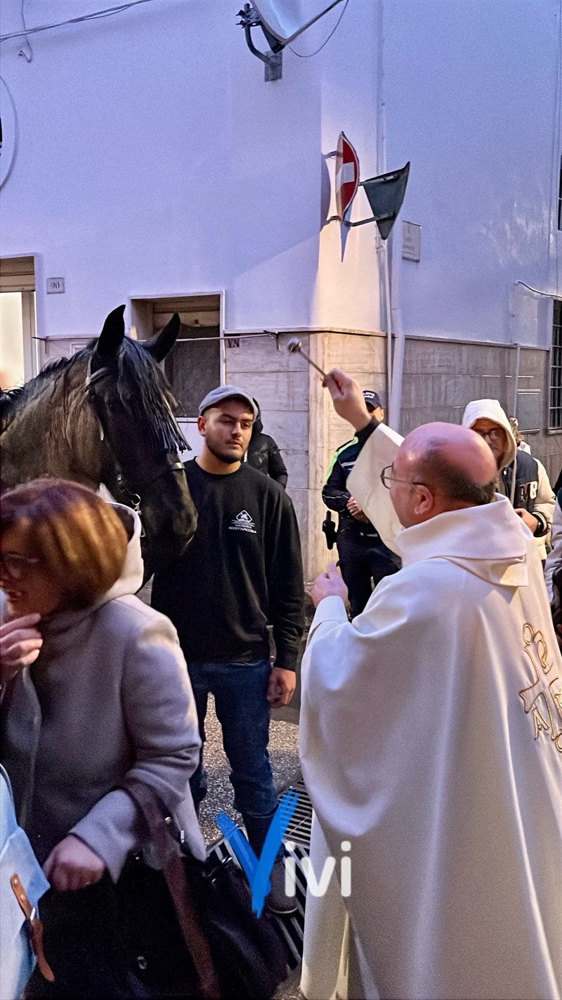 Benedizione degli animali: al via il Carnevale di Massafra